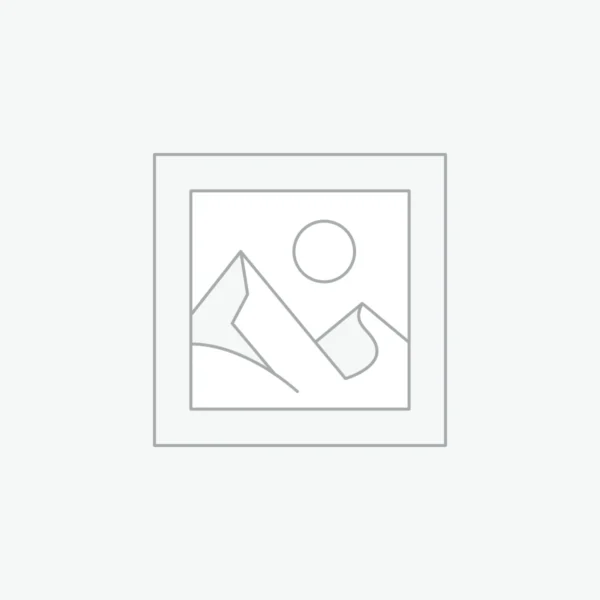 Ferrari 499P 3.0l Turbo V6 # 83 Winner 24h Le Mans 2025 PRE ORDER  DELUXE VERSION